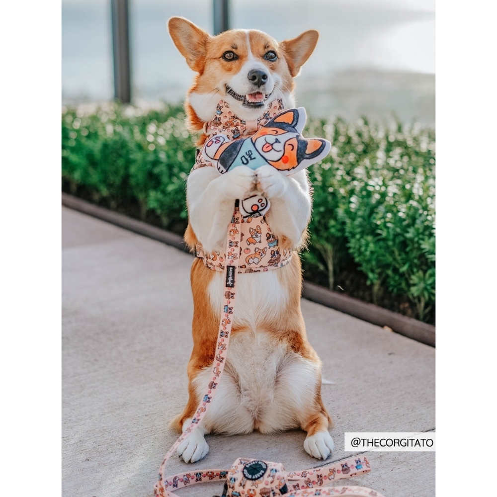 Sassy Woof Corgilicious Large Dog Harness - Picture 13 of 16
